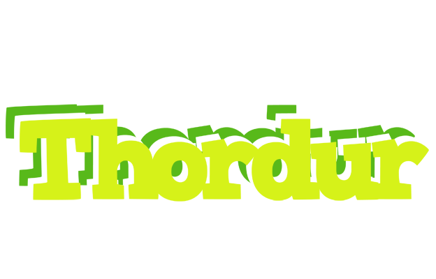 Thordur citrus logo