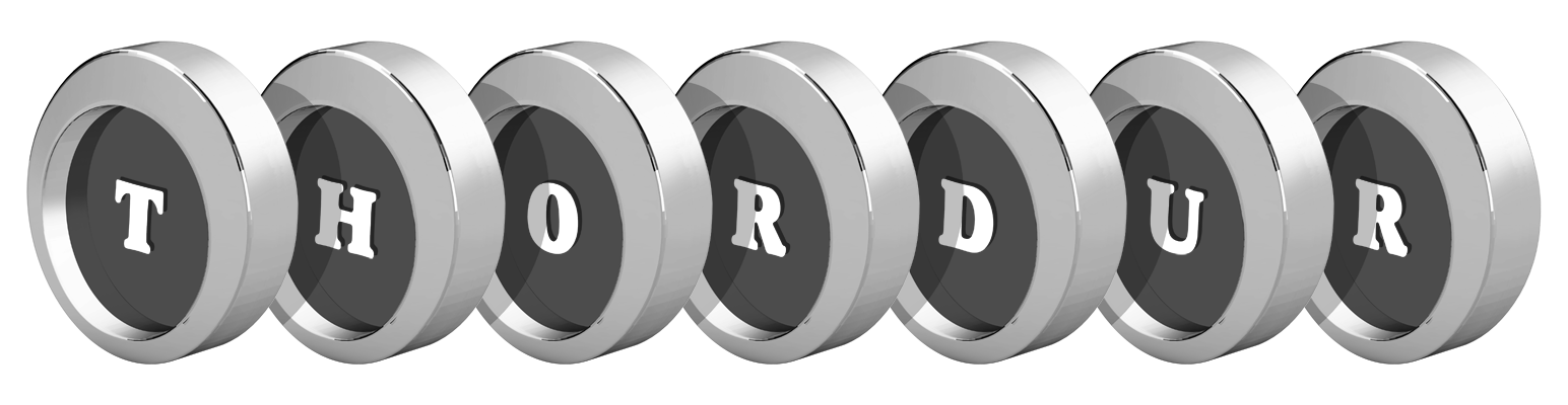 Thordur coins logo