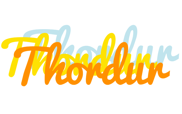 Thordur energy logo