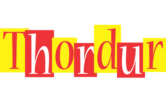 Thordur errors logo