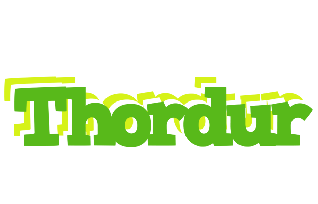 Thordur picnic logo