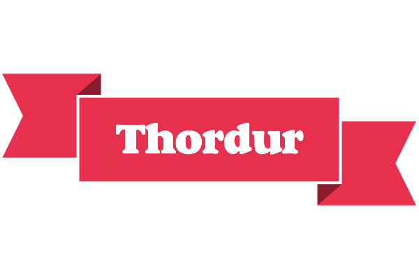 Thordur sale logo