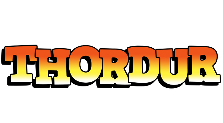 Thordur sunset logo