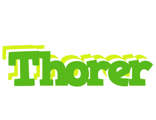 Thorer picnic logo
