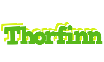Thorfinn picnic logo