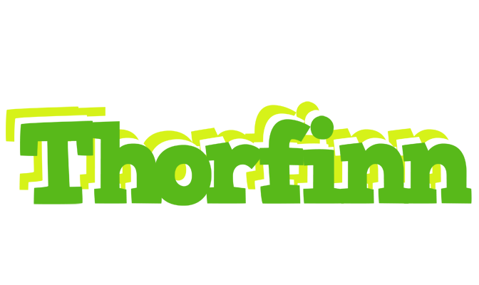 Thorfinn picnic logo