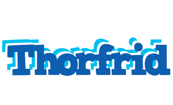 Thorfrid business logo