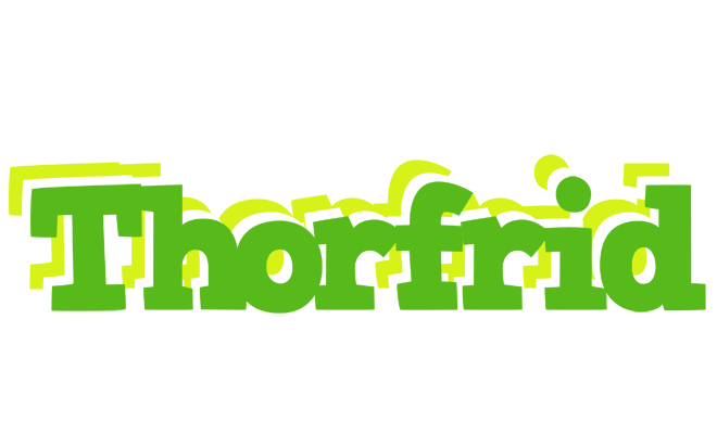 Thorfrid picnic logo