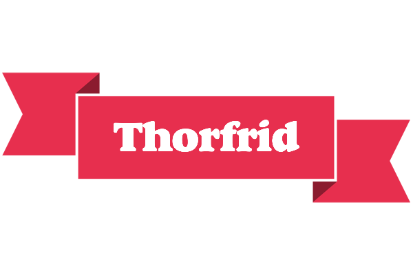 Thorfrid sale logo