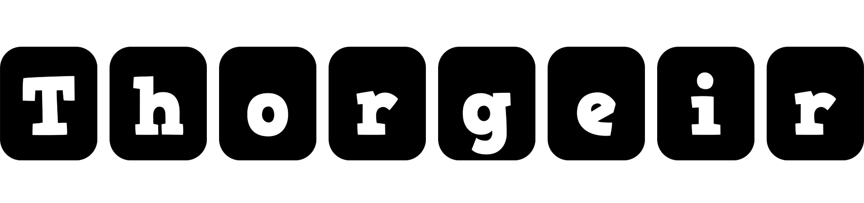 Thorgeir box logo