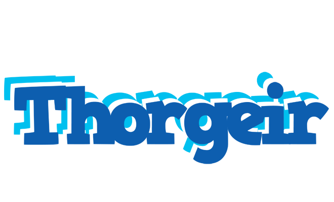Thorgeir business logo