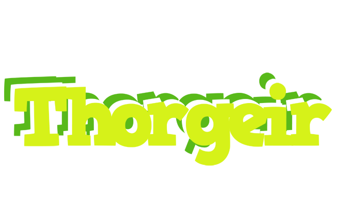 Thorgeir citrus logo