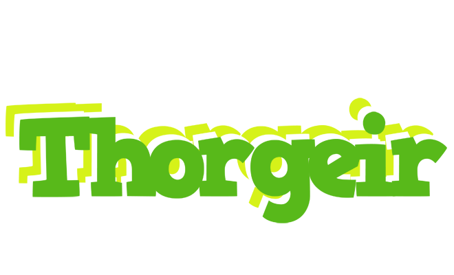 Thorgeir picnic logo