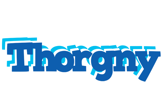 Thorgny business logo