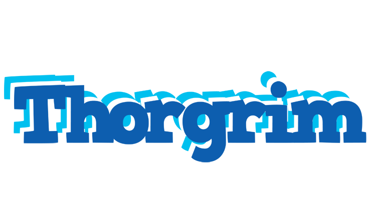 Thorgrim business logo