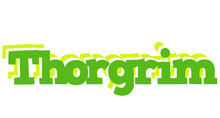Thorgrim picnic logo