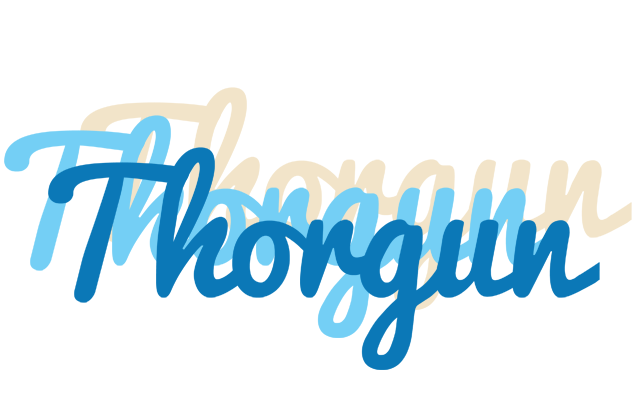 Thorgun breeze logo