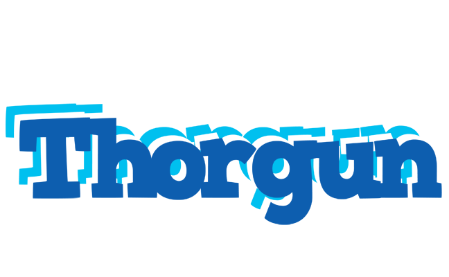 Thorgun business logo