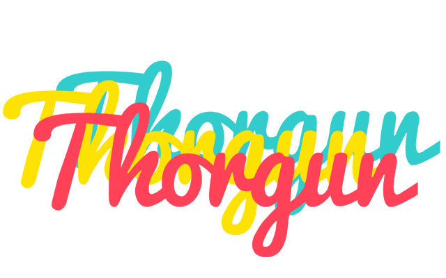 Thorgun disco logo