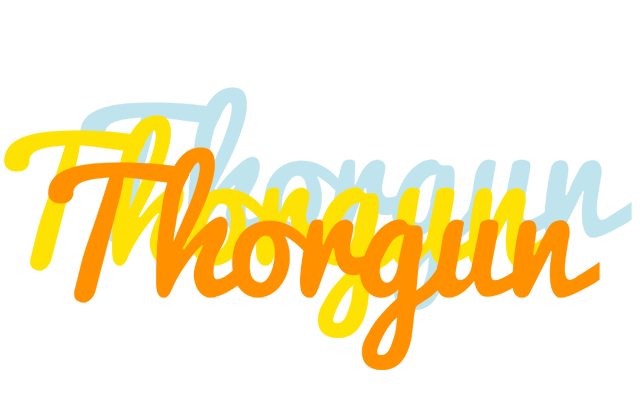 Thorgun energy logo