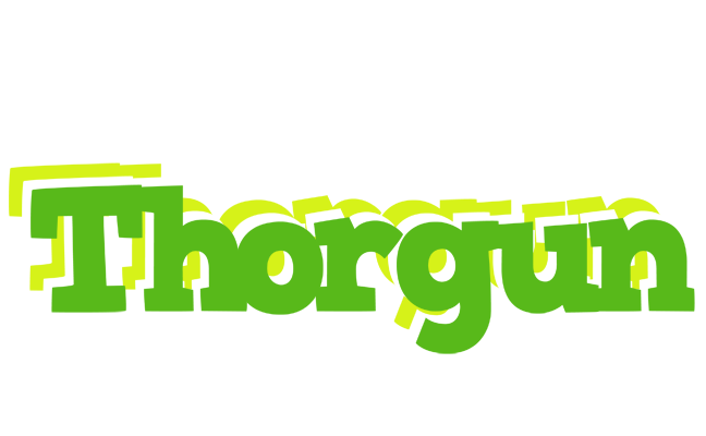 Thorgun picnic logo