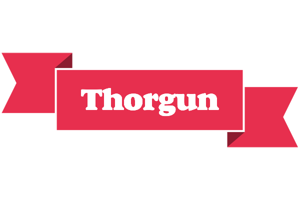 Thorgun sale logo