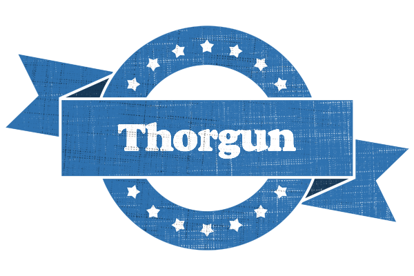 Thorgun trust logo