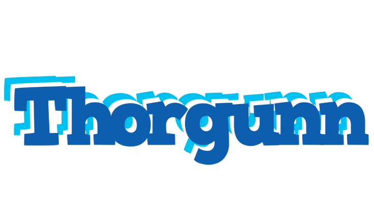 Thorgunn business logo