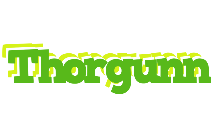 Thorgunn picnic logo