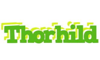 Thorhild picnic logo