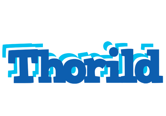 Thorild business logo