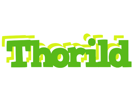 Thorild picnic logo