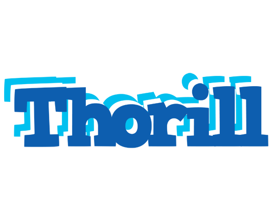 Thorill business logo