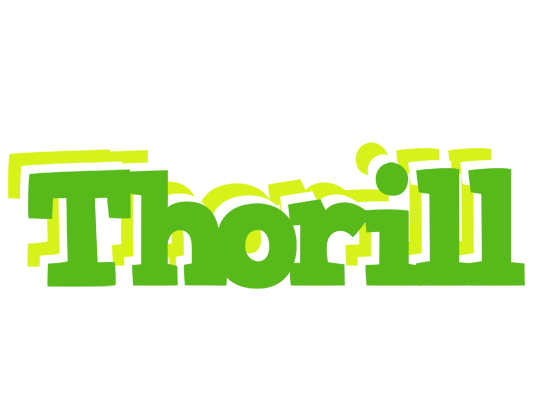 Thorill picnic logo