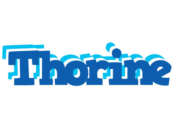 Thorine business logo