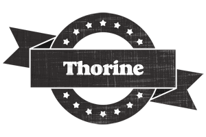 Thorine grunge logo