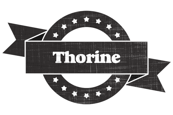 Thorine grunge logo