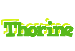 Thorine picnic logo