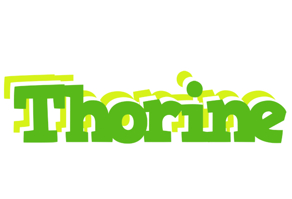 Thorine picnic logo