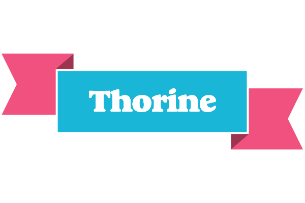 Thorine today logo