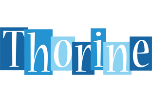 Thorine winter logo