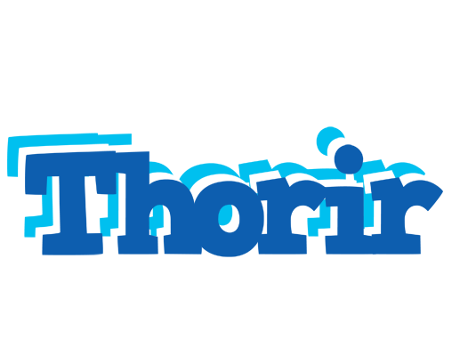 Thorir business logo