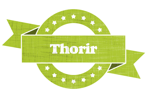 Thorir change logo