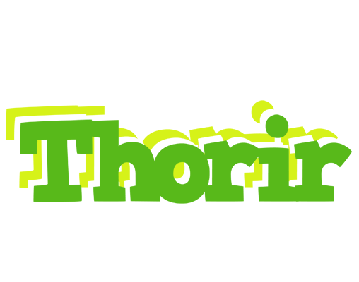 Thorir picnic logo