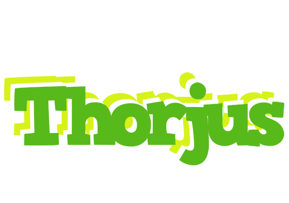 Thorjus picnic logo