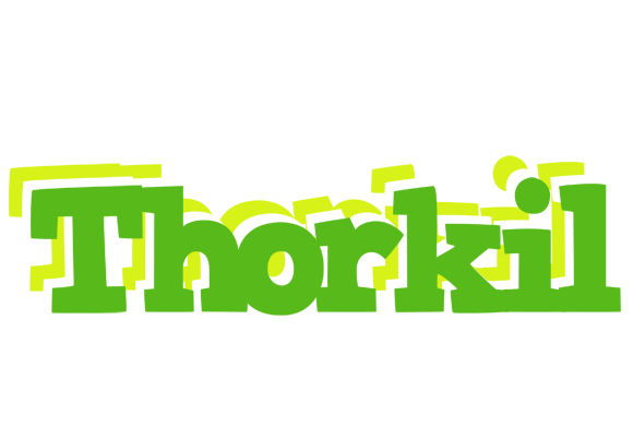 Thorkil picnic logo