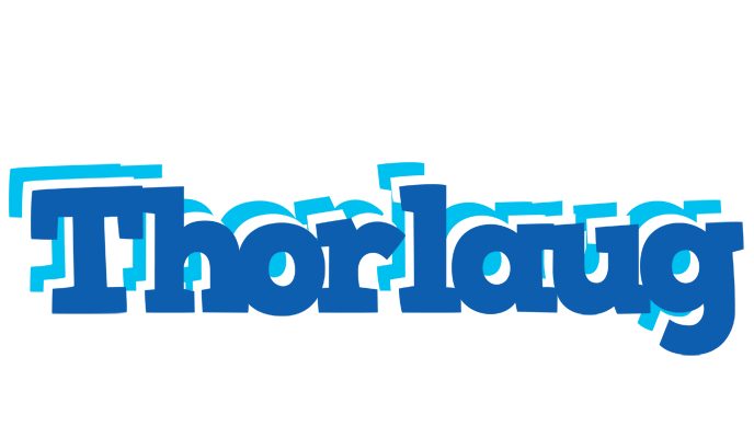 Thorlaug business logo