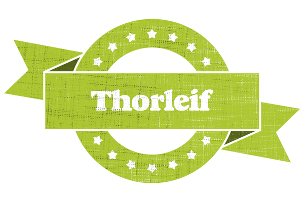 Thorleif change logo