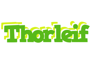 Thorleif picnic logo