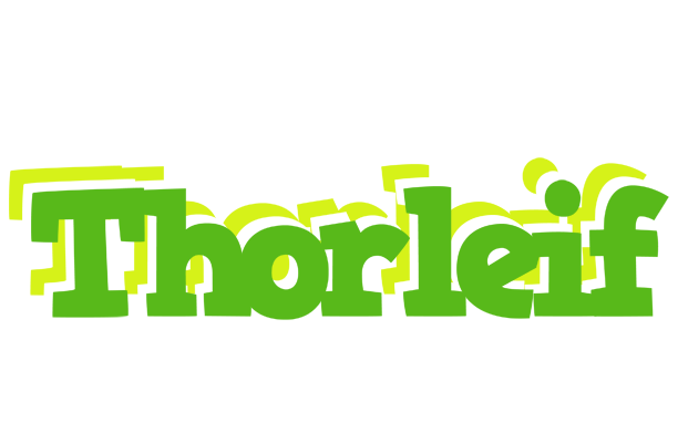 Thorleif picnic logo